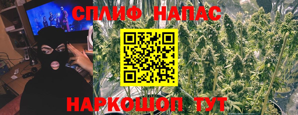 Бошки Шишки планчик  Канабис гибрид  Бошки марихуана VHQ  Каннабис планчик  Балтийск  Вход с VPN 