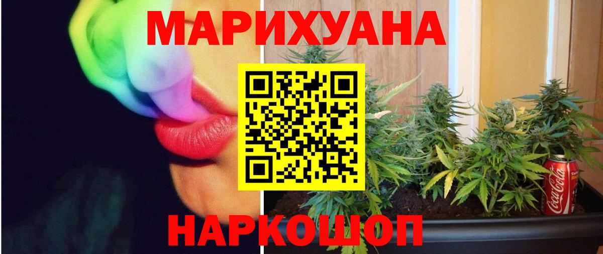 Каннабис гибрид Балтийск